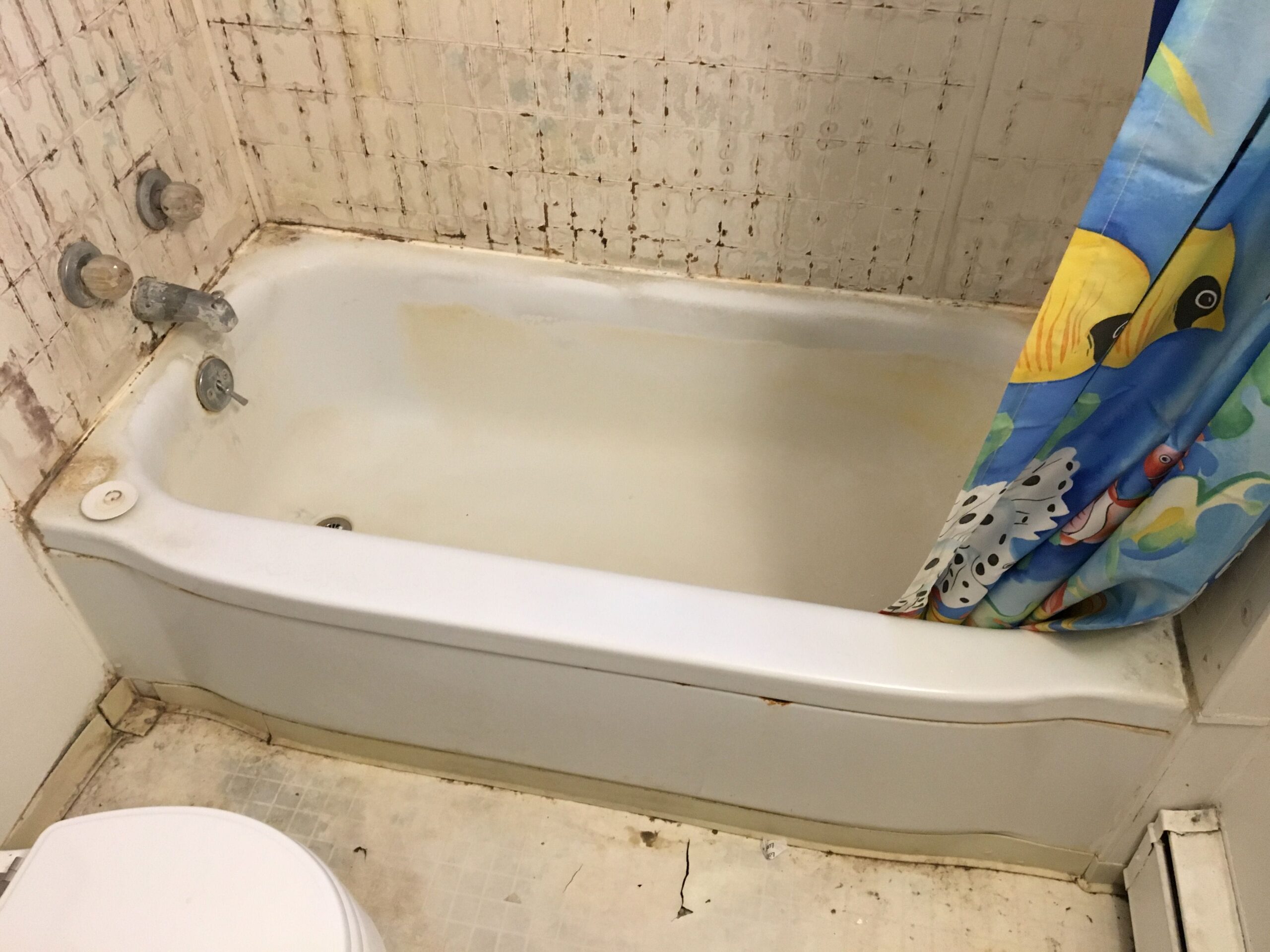 Old bathtub in Fairbanks, AK
